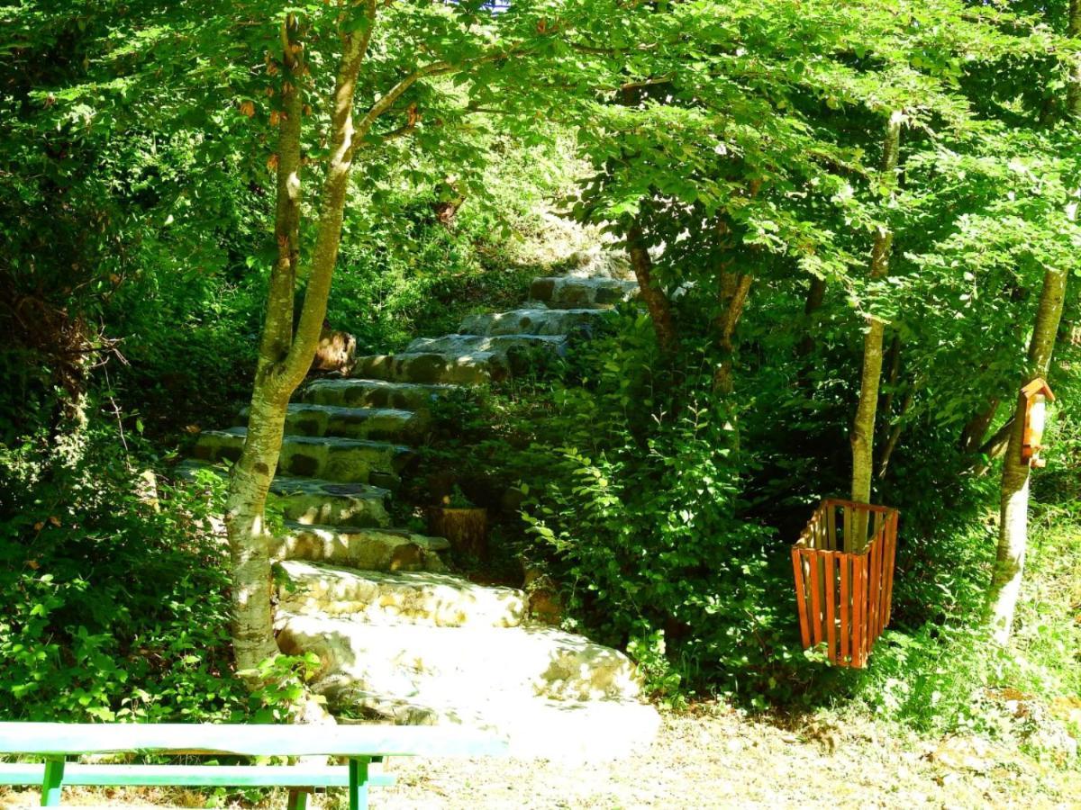Private Accommodation Kalezic 莫伊科瓦茨 外观 照片