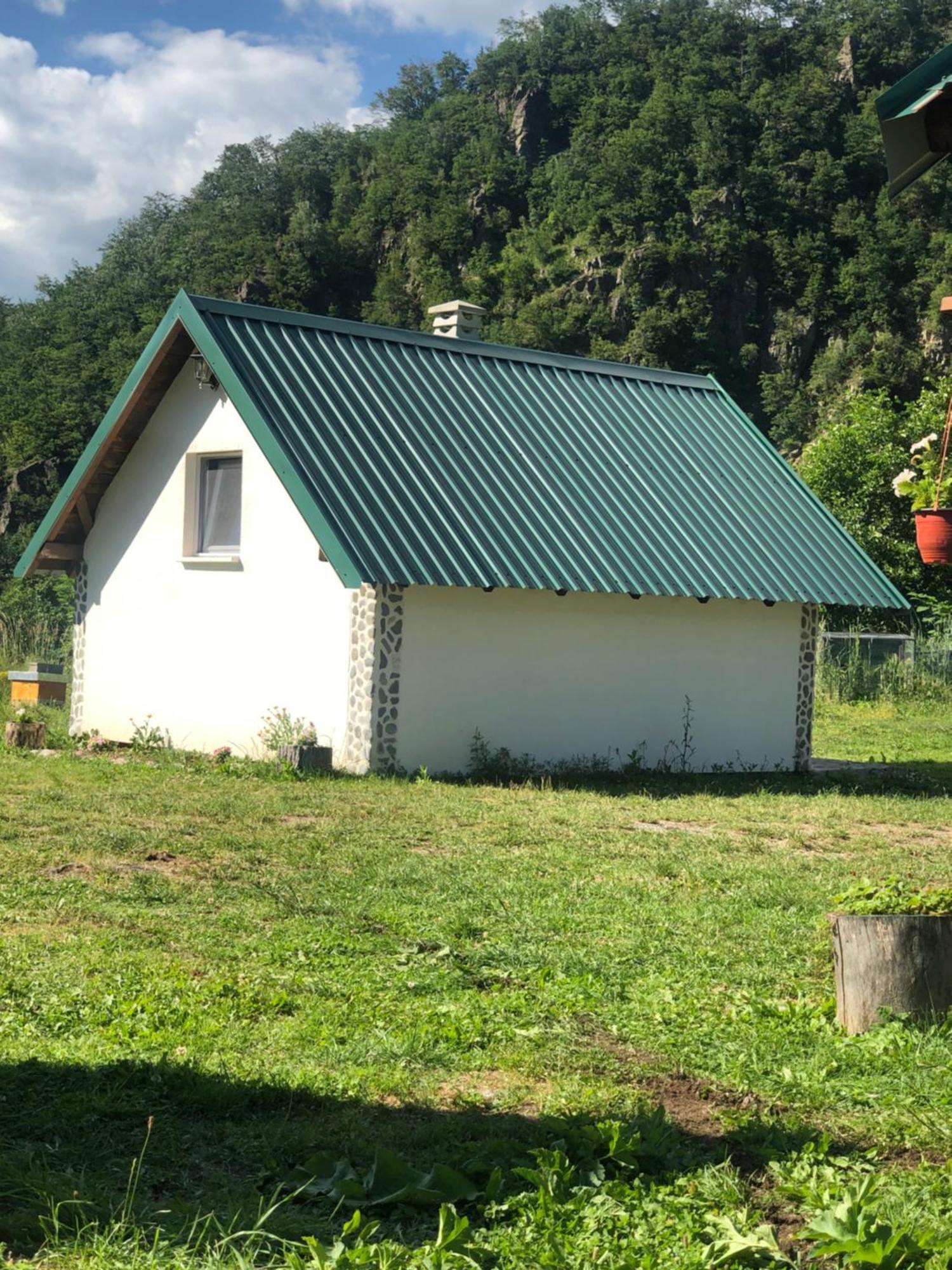 Private Accommodation Kalezic 莫伊科瓦茨 外观 照片
